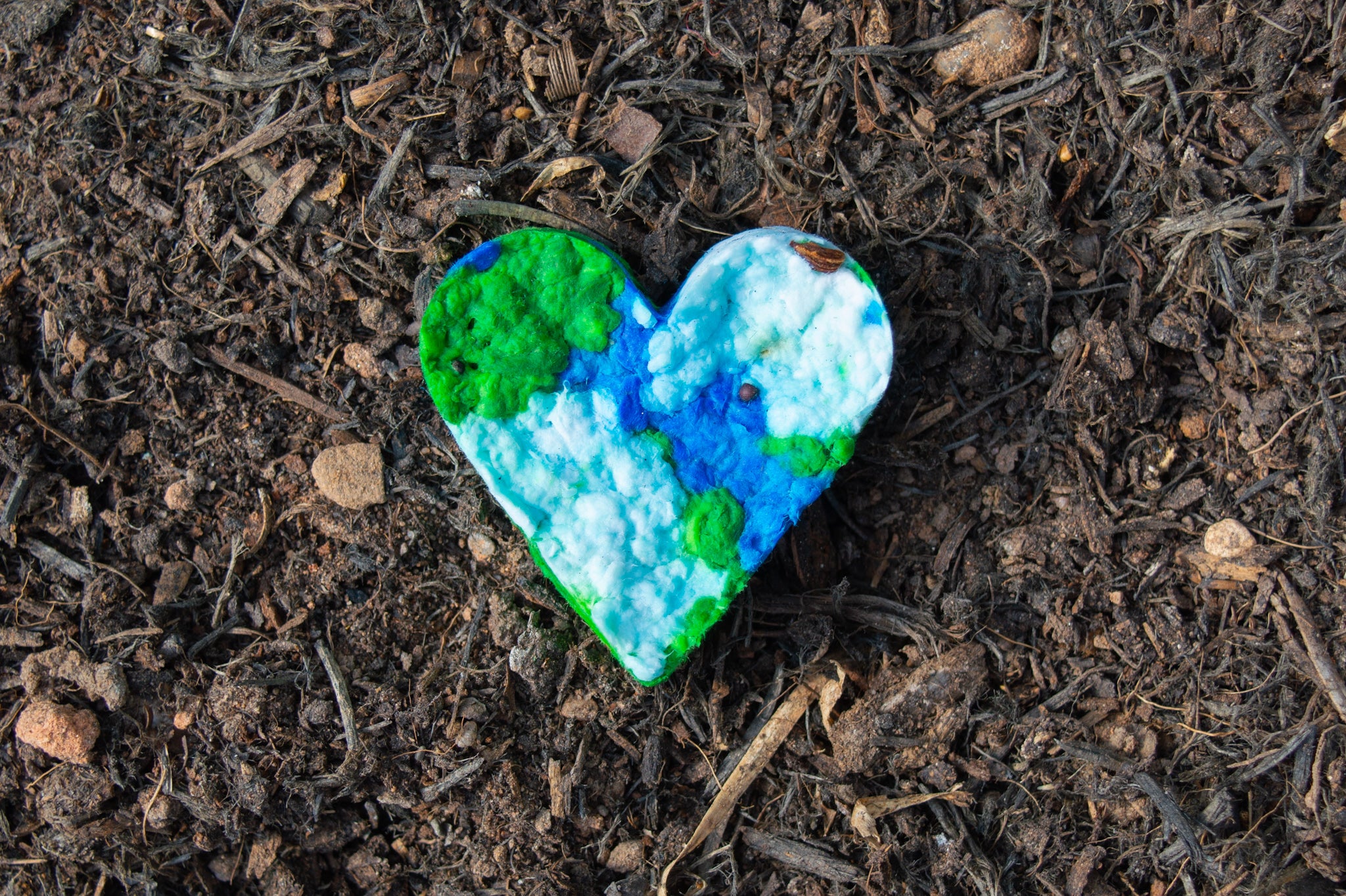 How to make Earth Day seed bombs