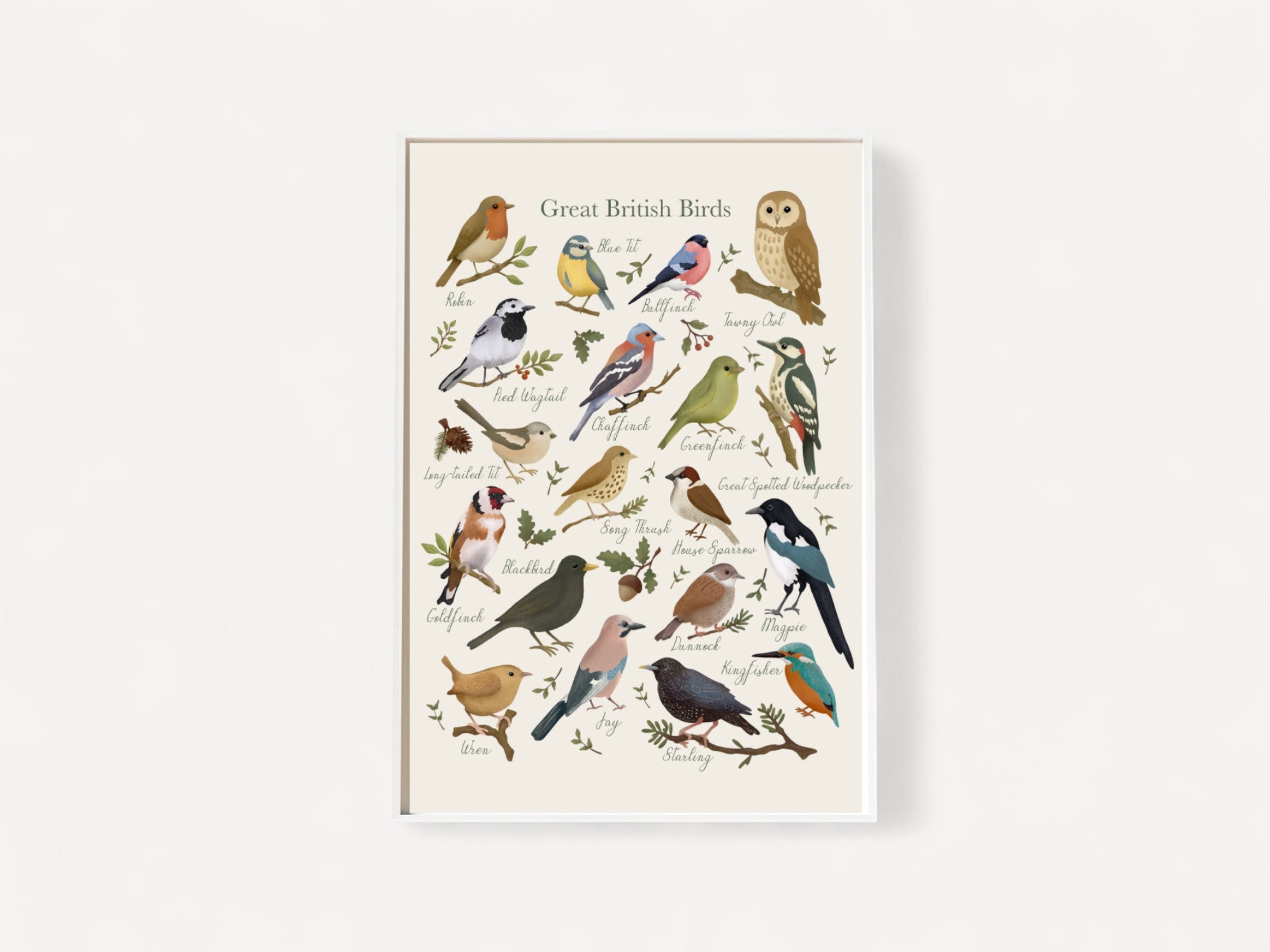Poster of Great British Birds with colorful illustrations on a white background