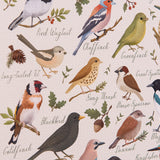 Great British Birds Print