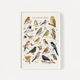Great British Birds Print