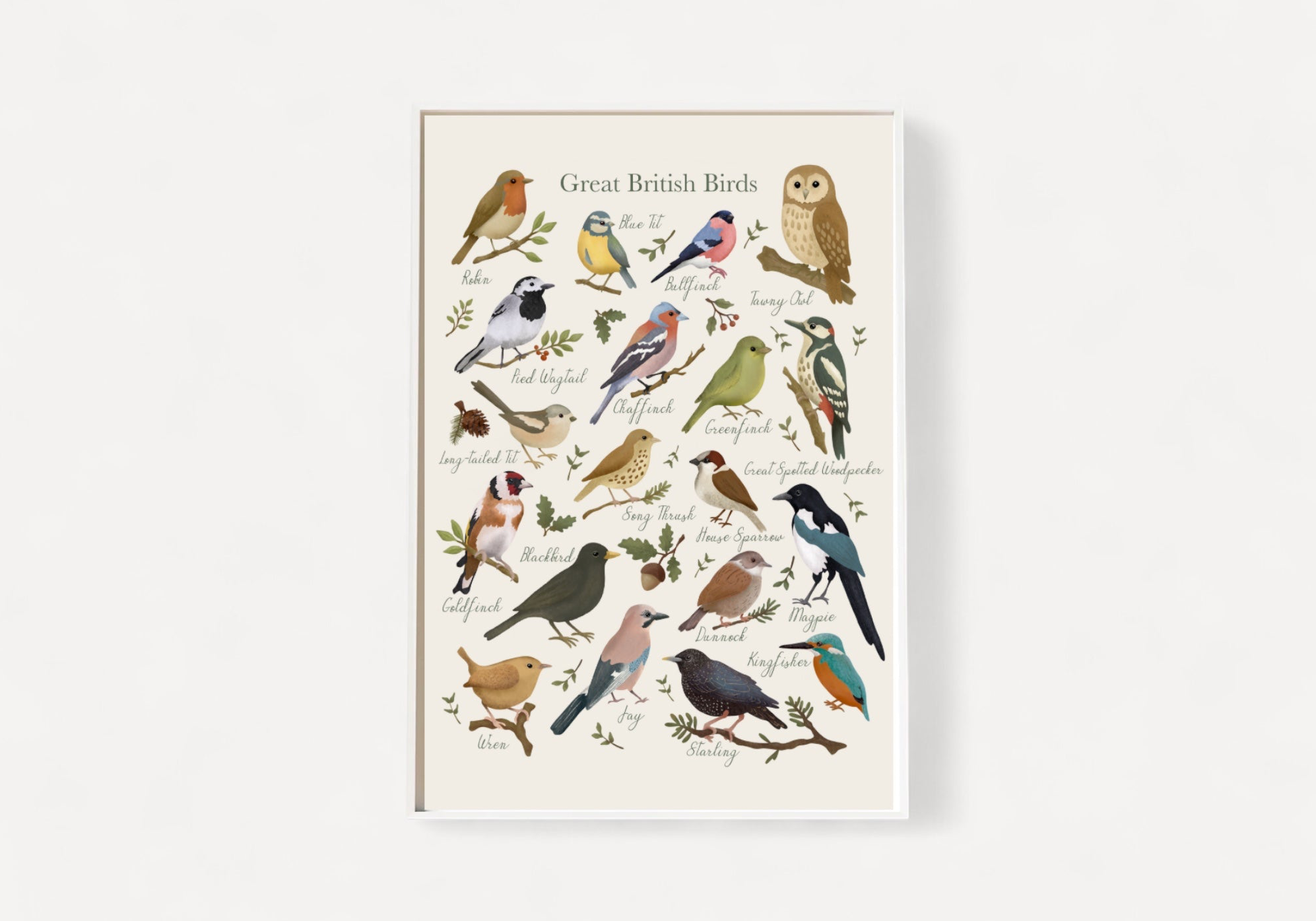 Poster of Great British Birds with colorful illustrations on a white background