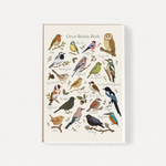 Poster of Great British Birds with colorful illustrations on a white background